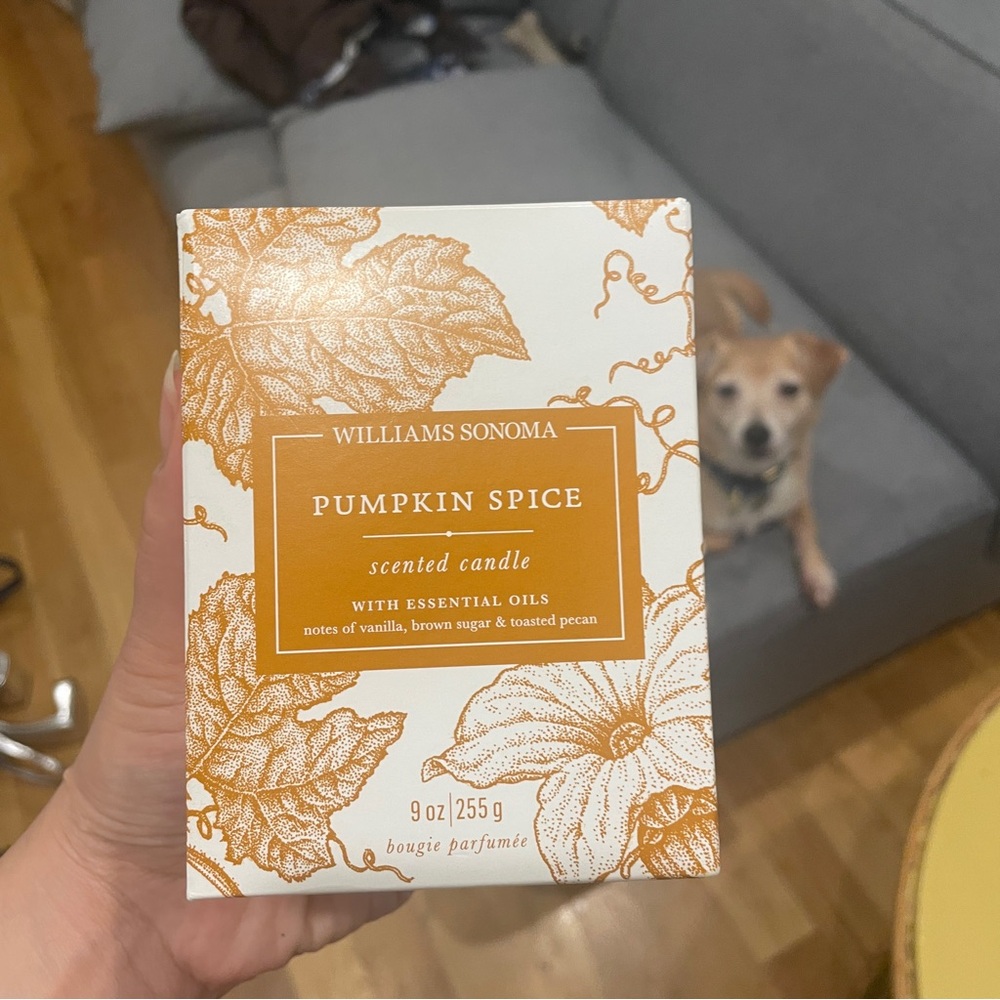 Williams Sonoma Pumpkin Scented Candle